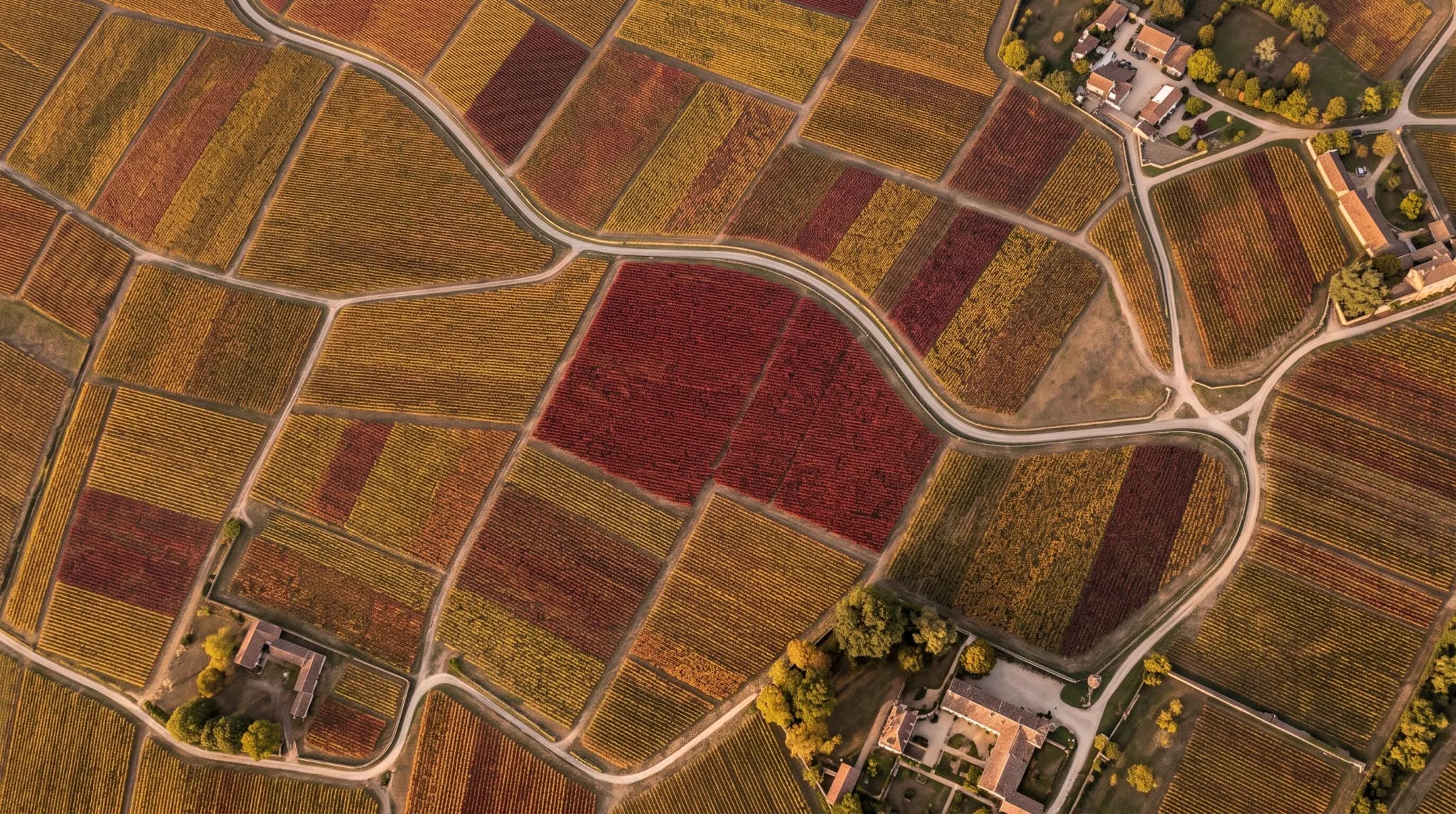 Le vignoble sur la colline vu d'en haut